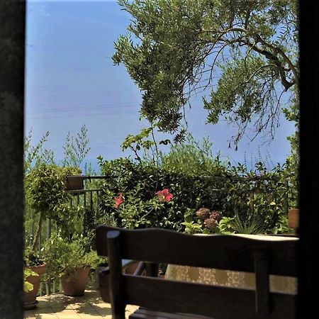 B&B Dei Fiori Praia a Mare Exteriér fotografie