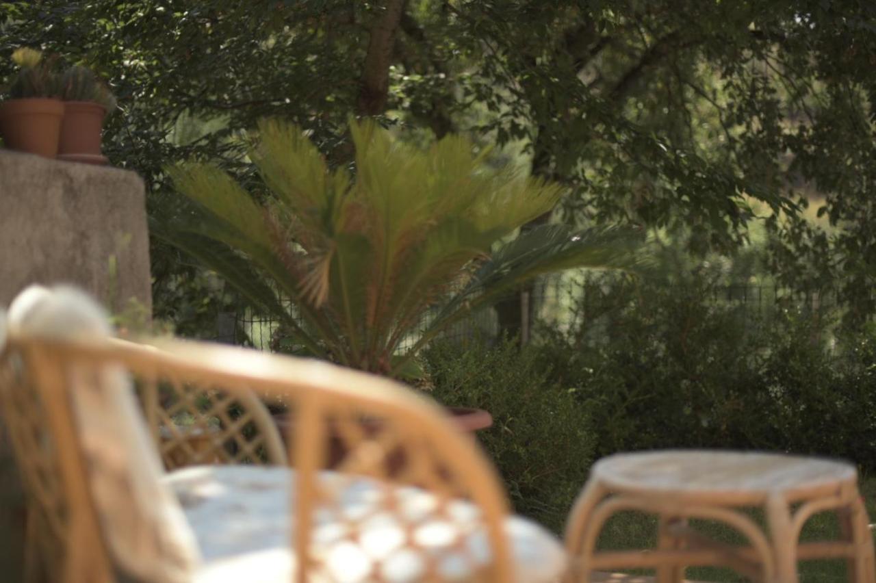 B&B Dei Fiori Praia a Mare Exteriér fotografie