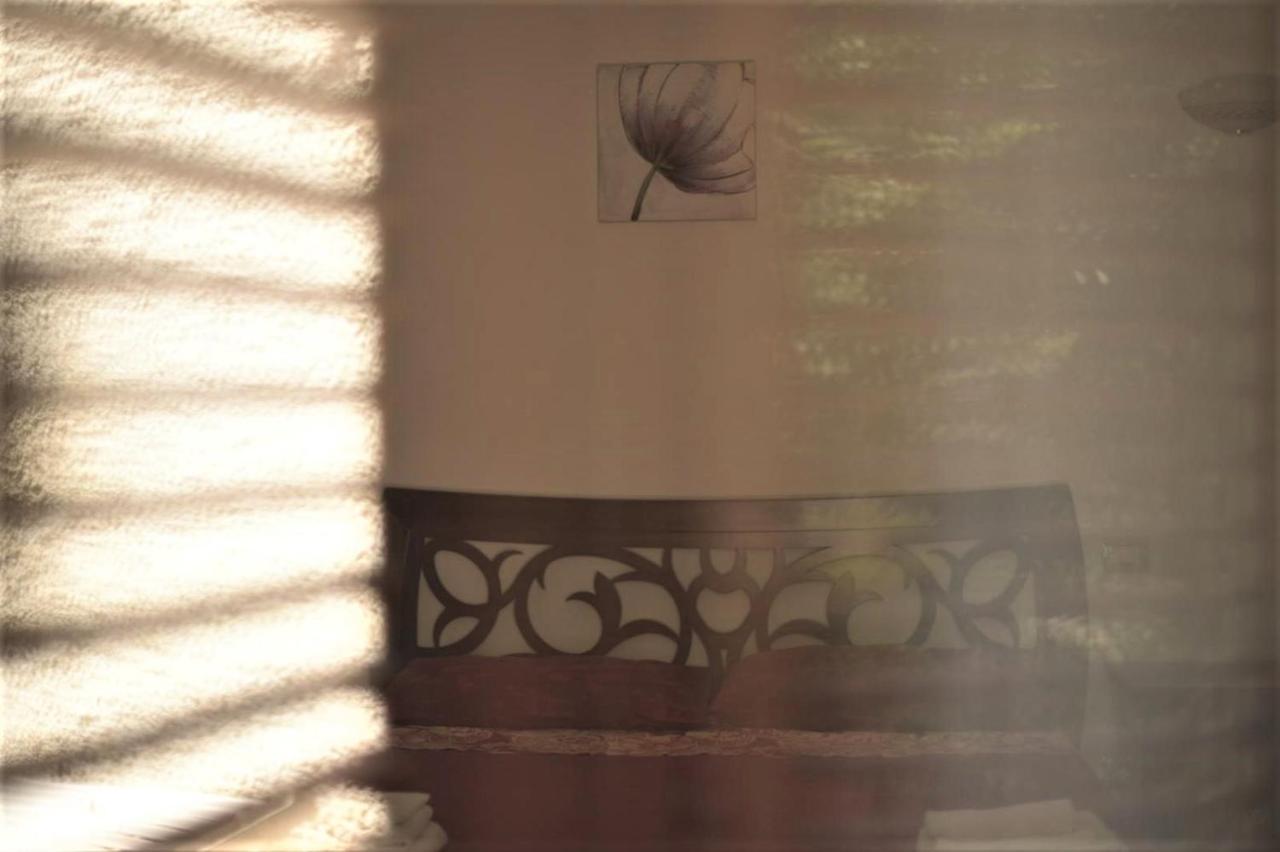 B&B Dei Fiori Praia a Mare Exteriér fotografie