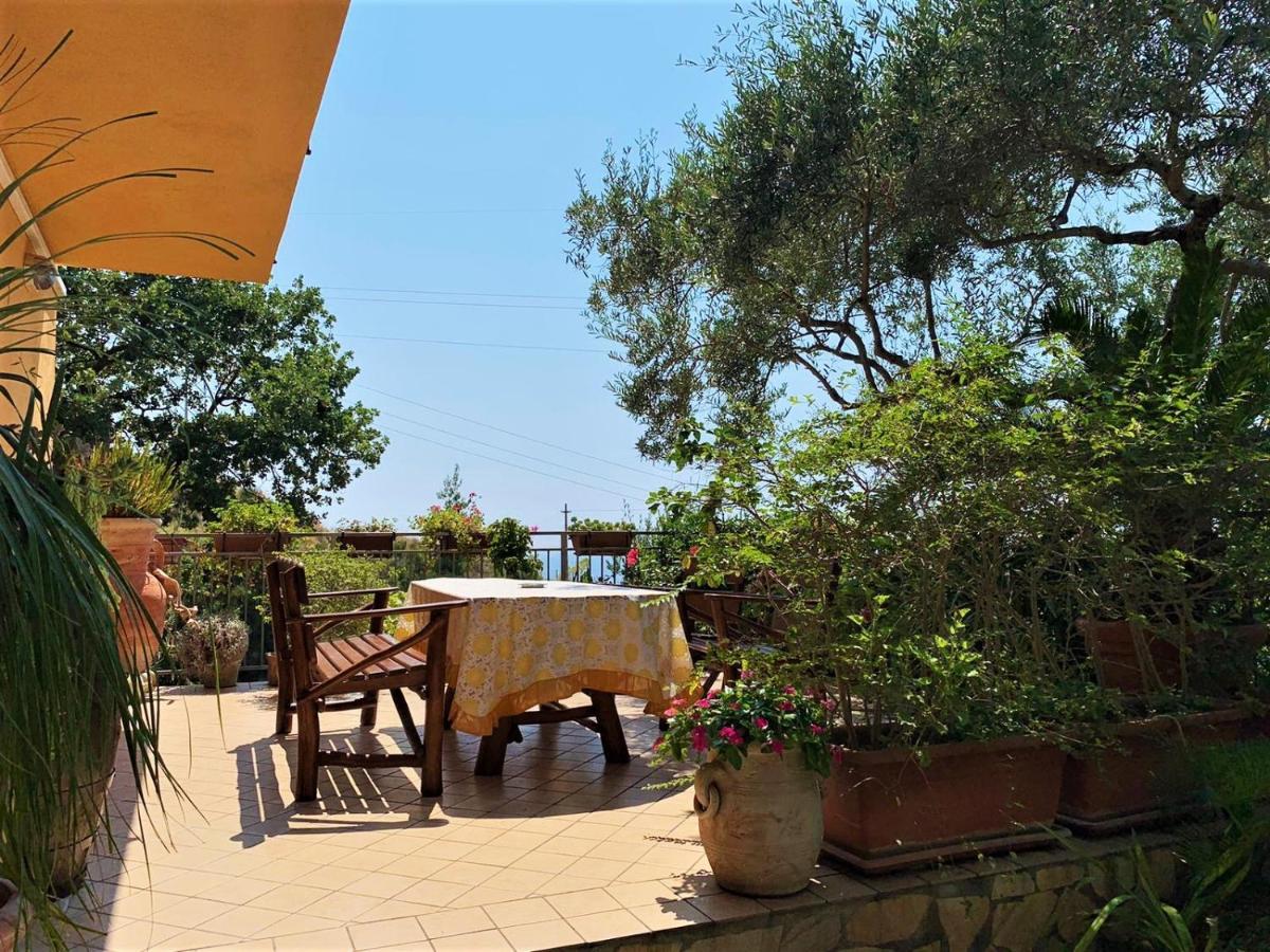 B&B Dei Fiori Praia a Mare Exteriér fotografie