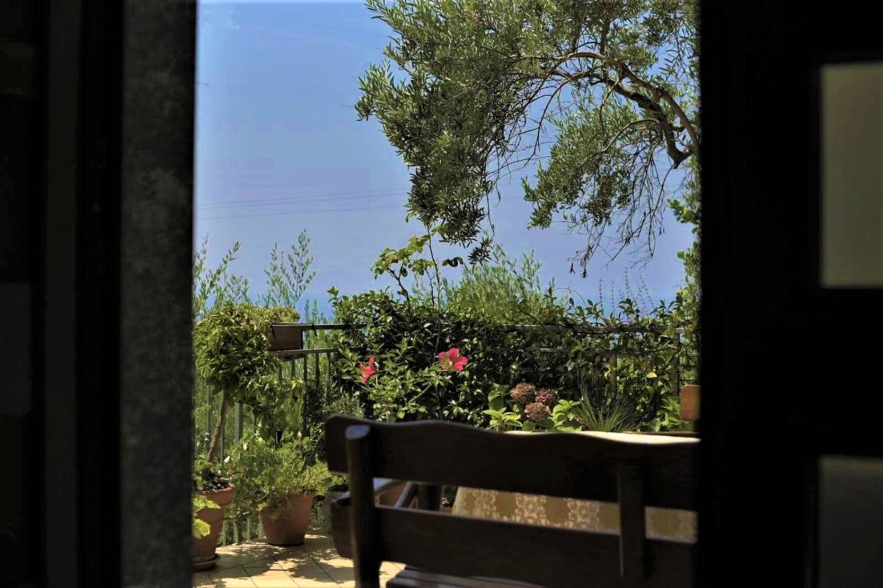 B&B Dei Fiori Praia a Mare Exteriér fotografie