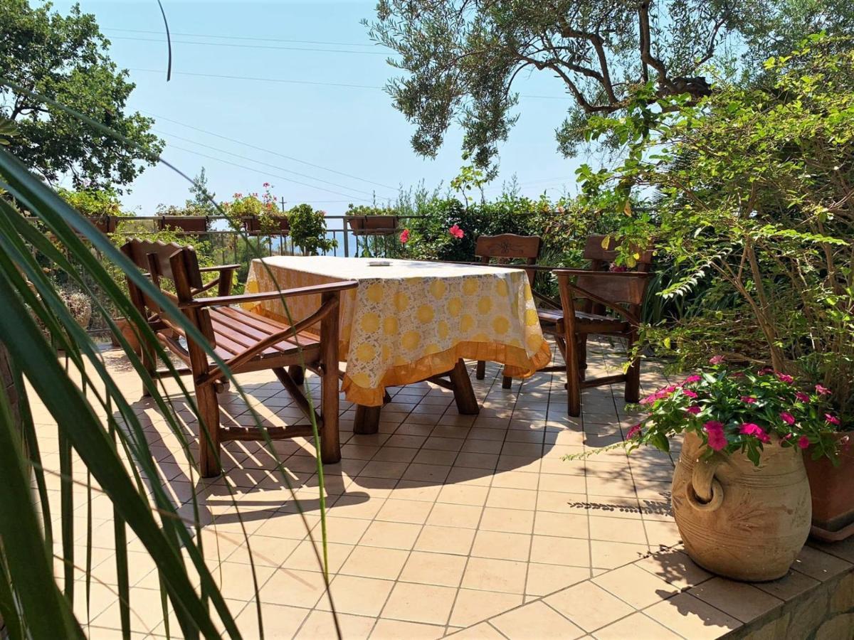 B&B Dei Fiori Praia a Mare Exteriér fotografie