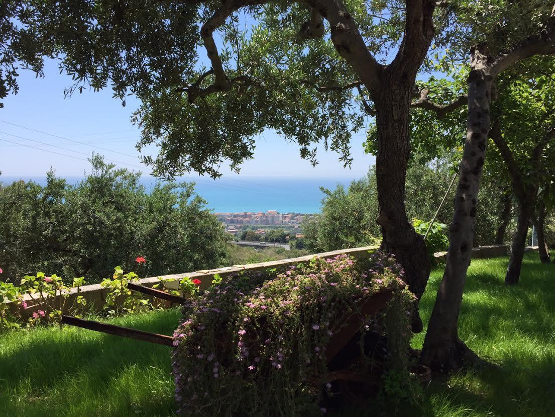 B&B Dei Fiori Praia a Mare Exteriér fotografie