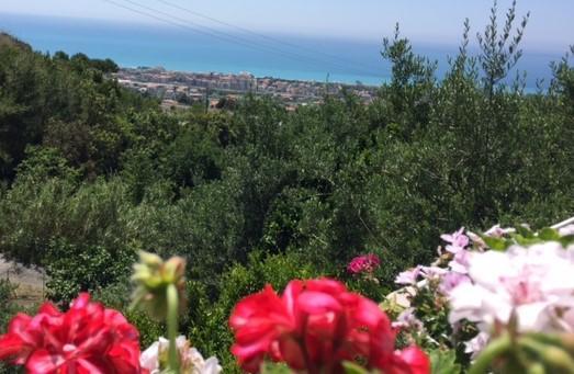 B&B Dei Fiori Praia a Mare Exteriér fotografie