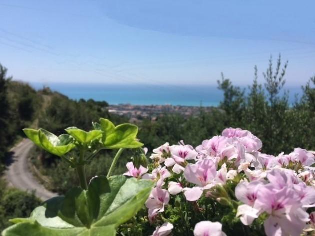 B&B Dei Fiori Praia a Mare Exteriér fotografie