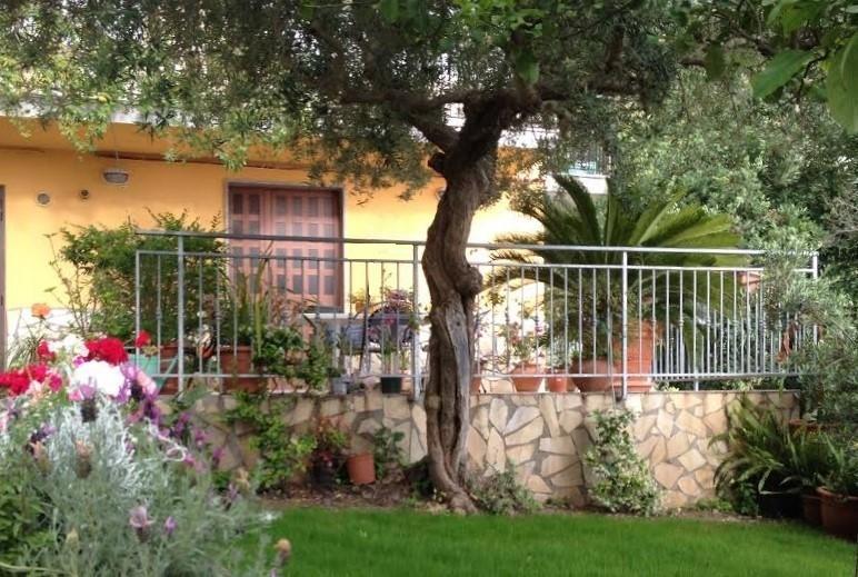 B&B Dei Fiori Praia a Mare Exteriér fotografie