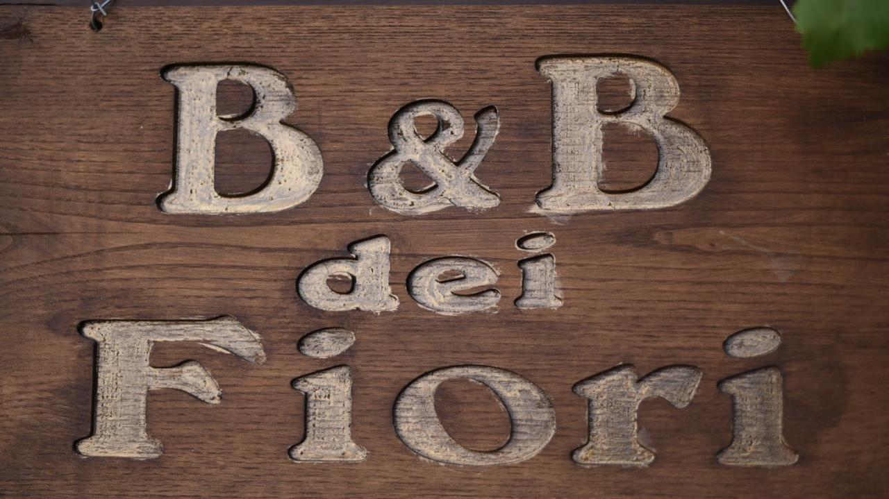 B&B Dei Fiori Praia a Mare Exteriér fotografie