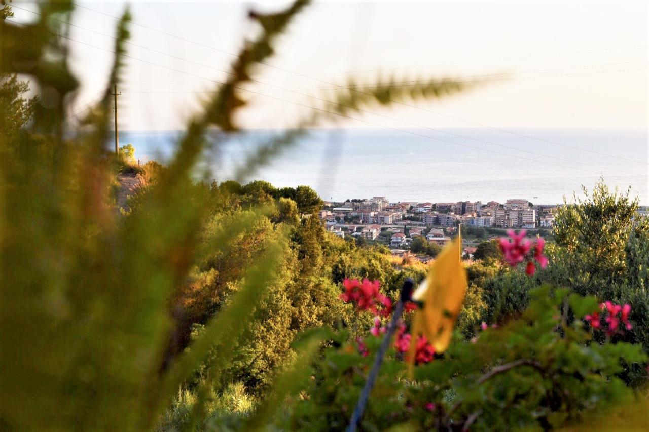 B&B Dei Fiori Praia a Mare Exteriér fotografie