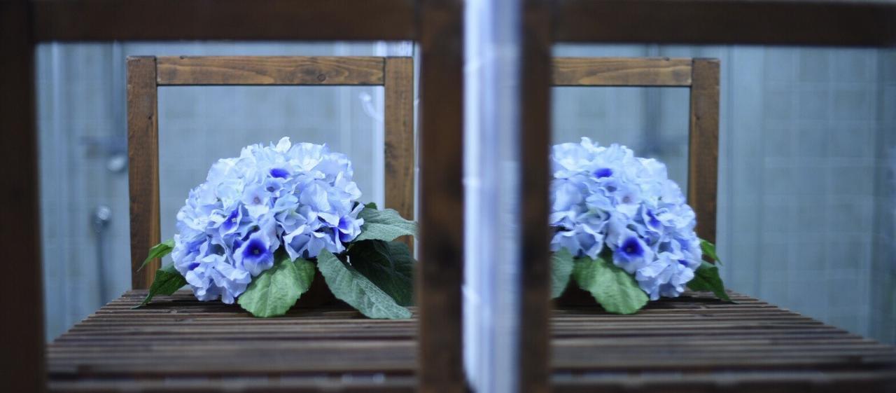 B&B Dei Fiori Praia a Mare Exteriér fotografie